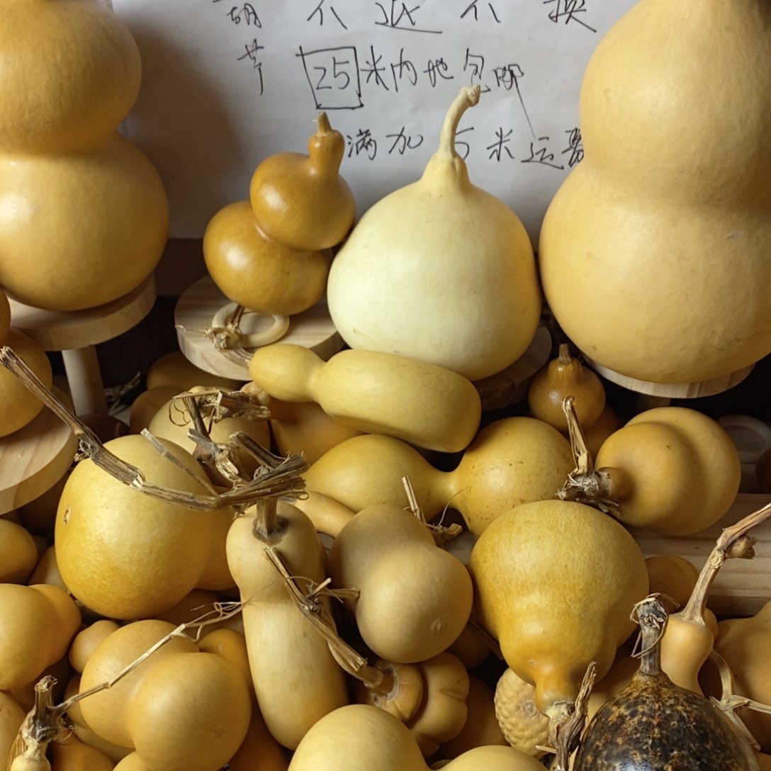 阳**活哦哦哦哦哦哦哦葫芦