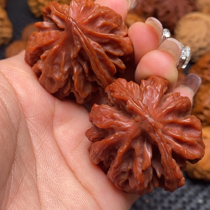 秦岭野生文玩核桃10