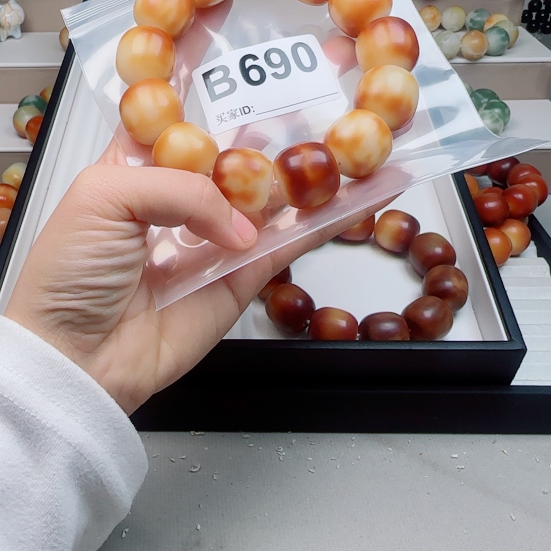 吊坠菩提根/象牙果菩提2.18