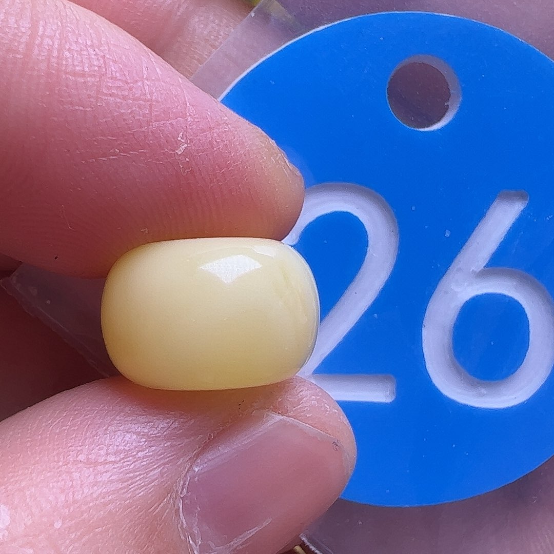 蜜蜡未镶嵌珠宝奇石12.3mm花粉