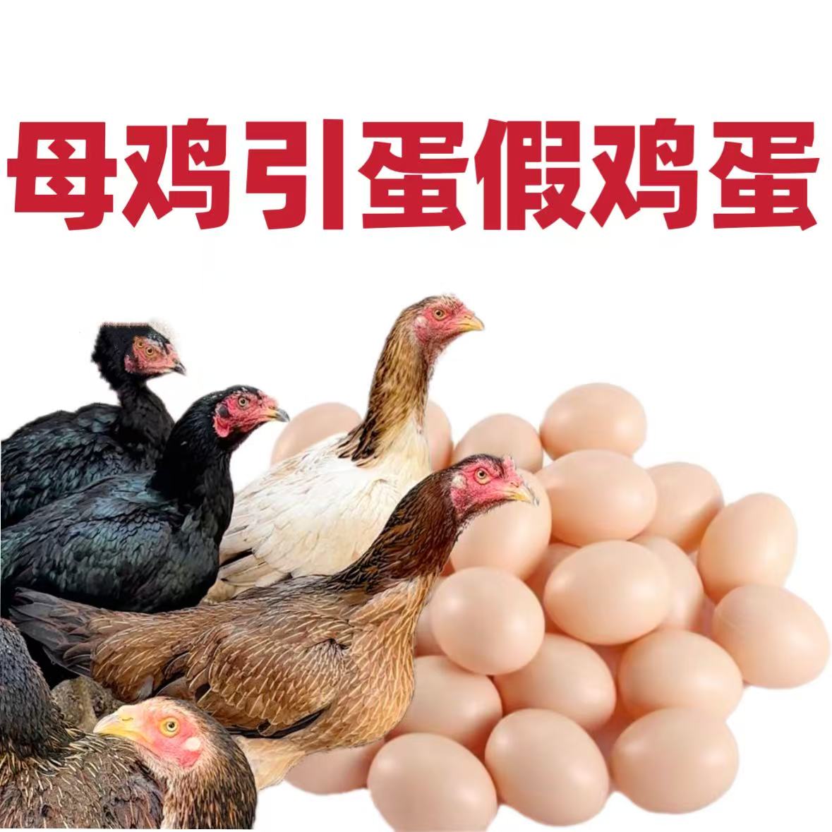 假鸡蛋 母鸡引蛋认窝仿真鸡蛋专用