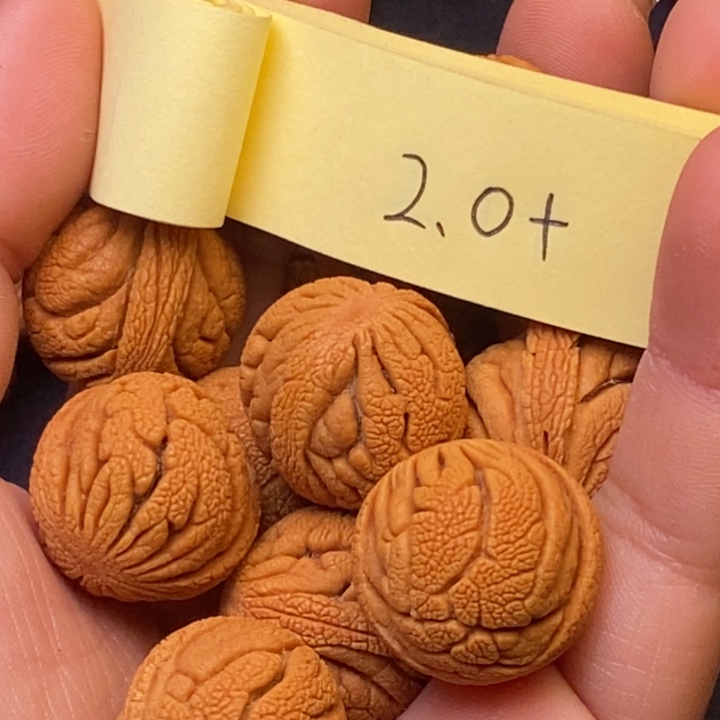 秦岭龙纹桃核13颗