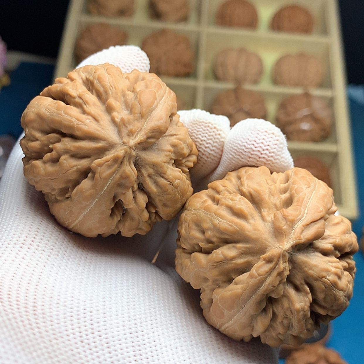 【闪购商品】文玩核桃把件随*霸王龙