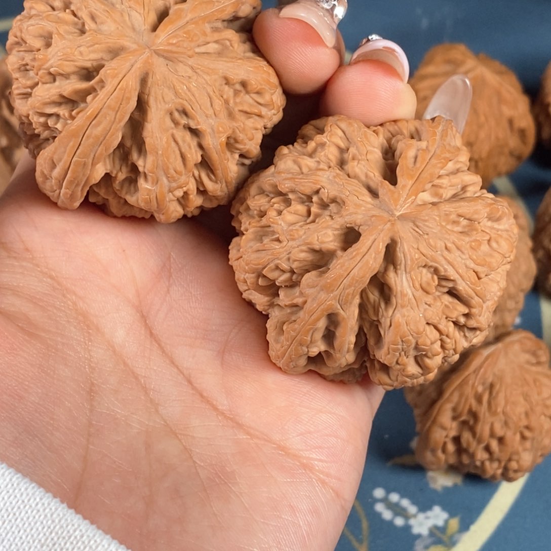 核桃H****型文玩核桃大粗筋