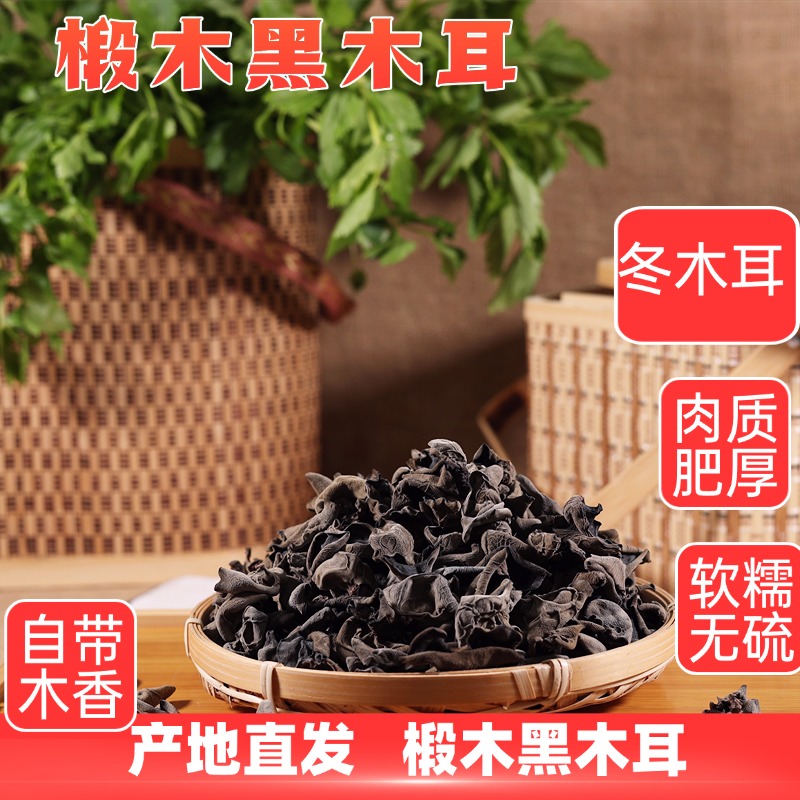 四川特产青冈木耳250g椴木黑木耳干货厚耳子非无根木耳农家新货