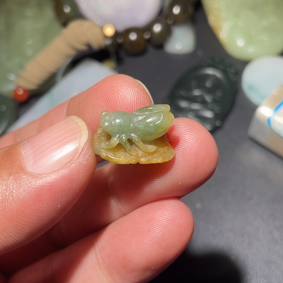 翡翠未镶嵌颈饰天然翡翠A货蜘蛛