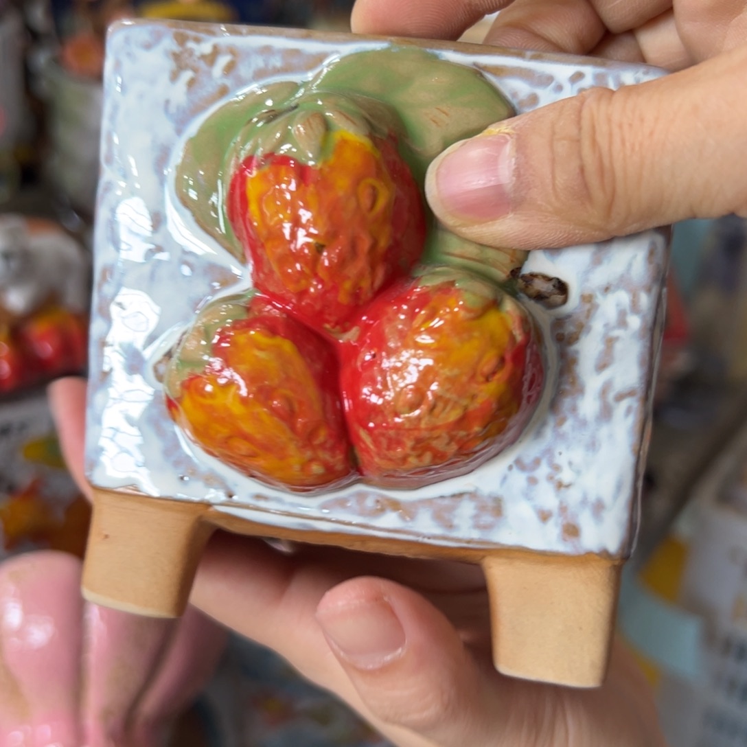 多肉花盆，满20发货，爱退款拉黑