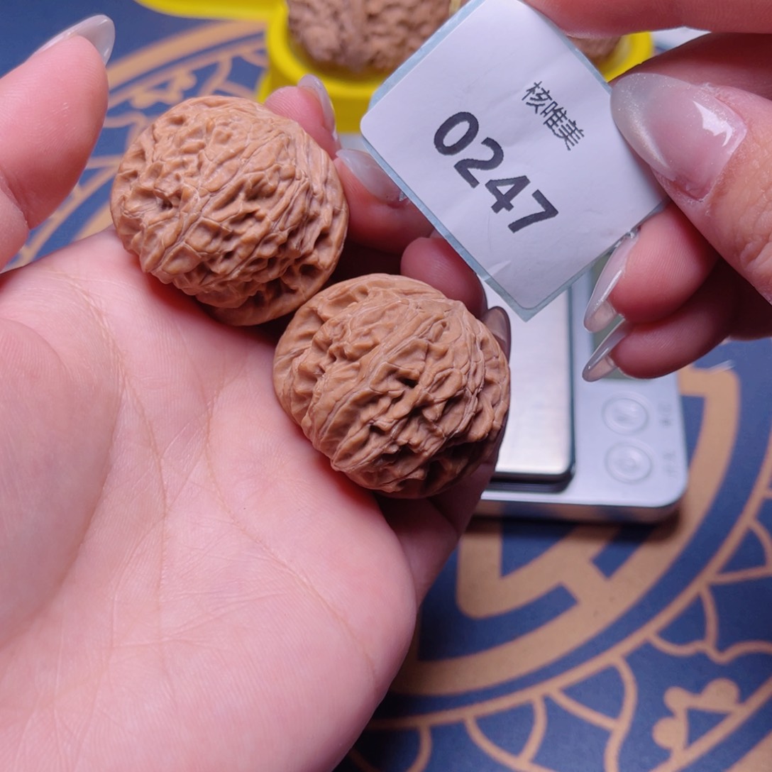 文玩核桃把件磨盘37～0247