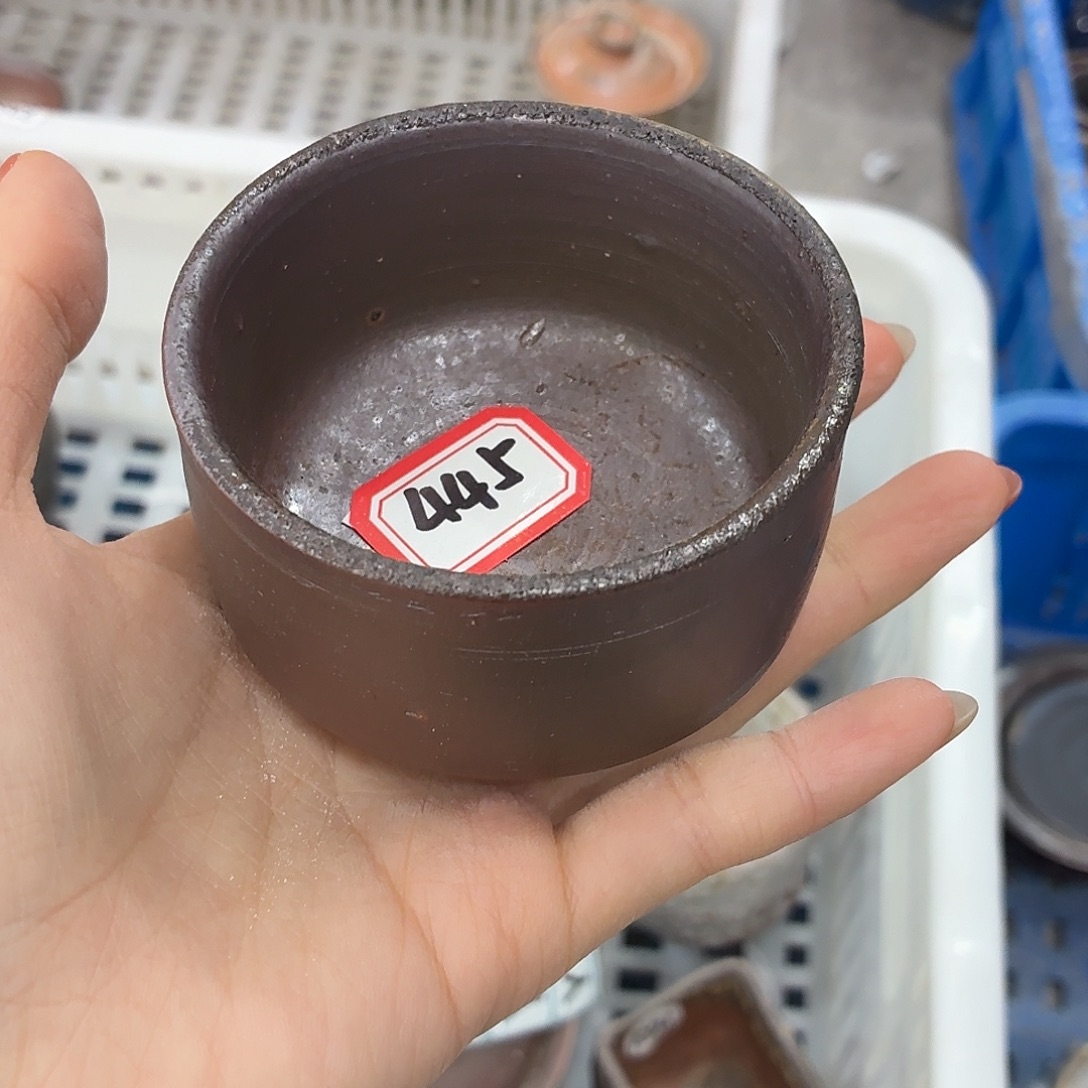 陶园柴烧，精品高货445