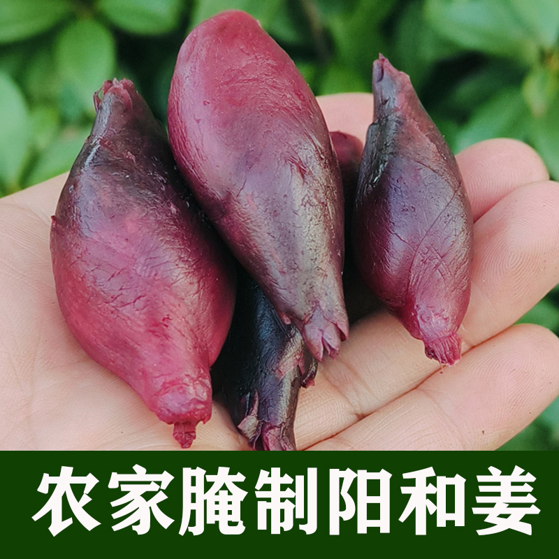 大别山特产新鲜腌制现摘阳荷姜泡阳和姜