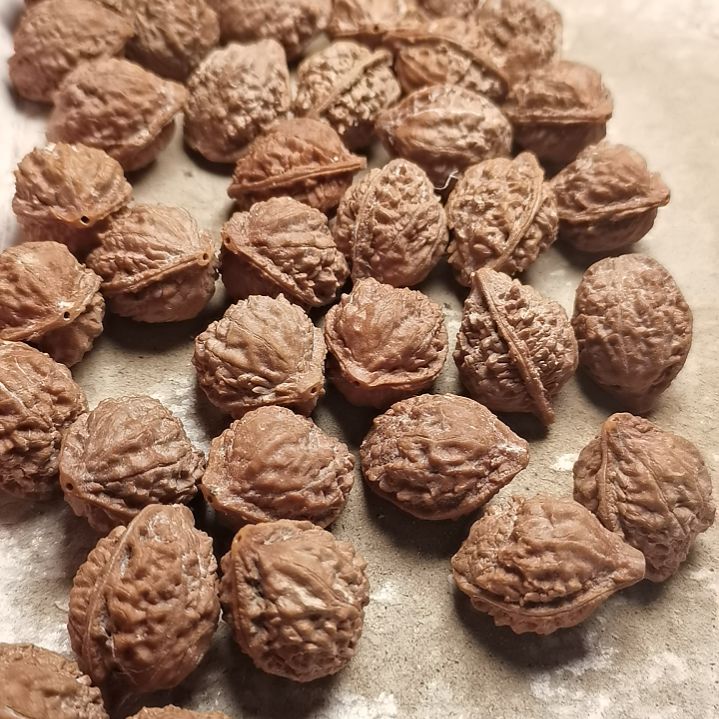 文玩核桃手串小**儿东北秋子异型籽26