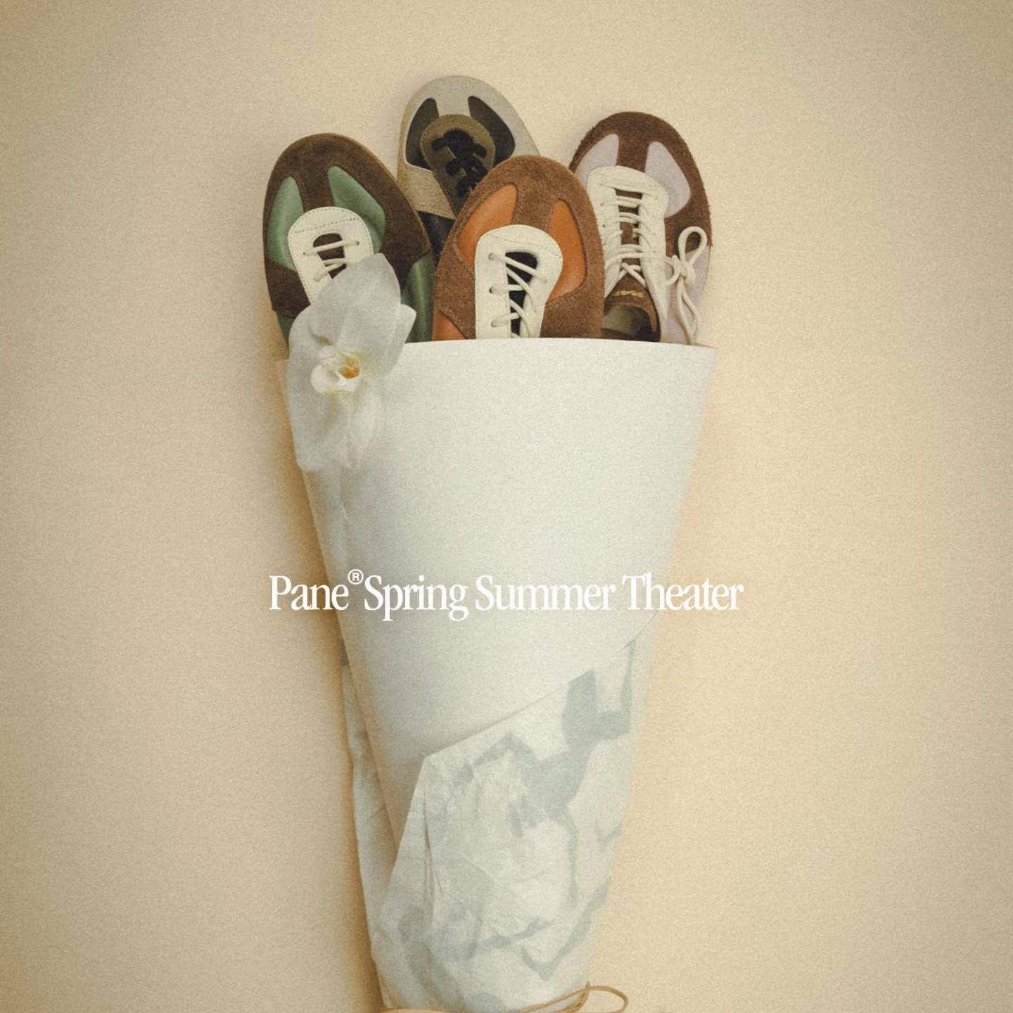 36码-PANE-轻训德训系列