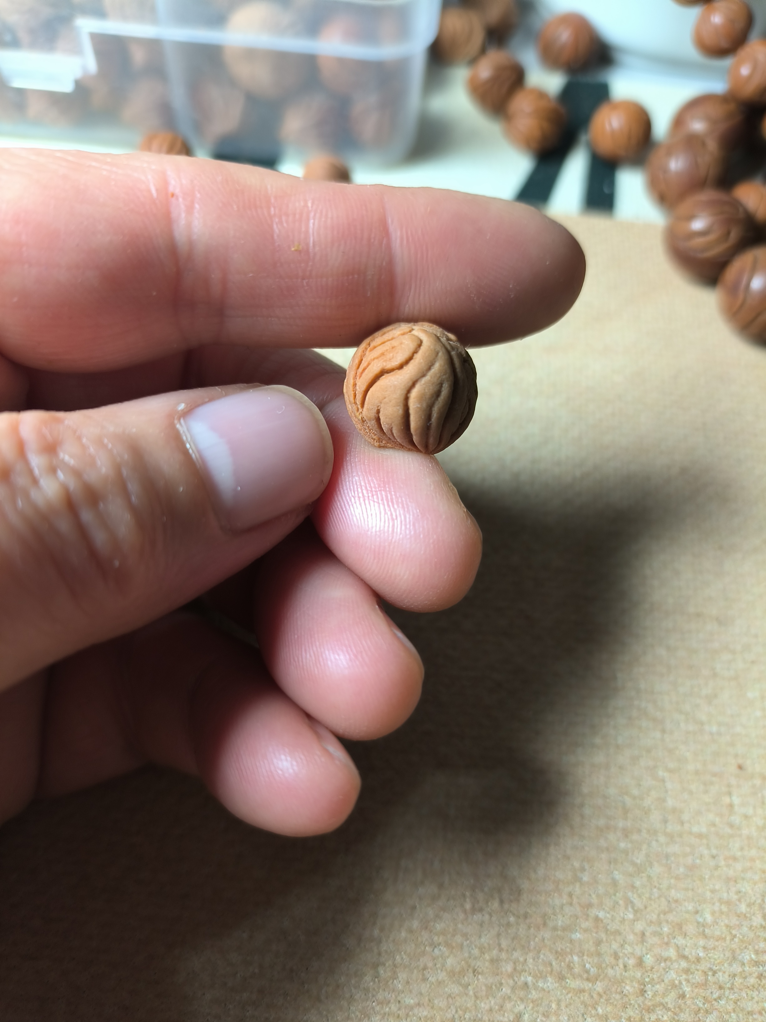 秦岭龙纹桃核一颗