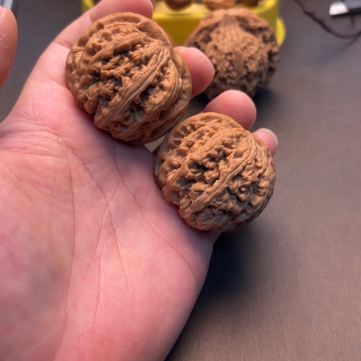 2***7大叶紫檀（黑酸枝木类）粗筋