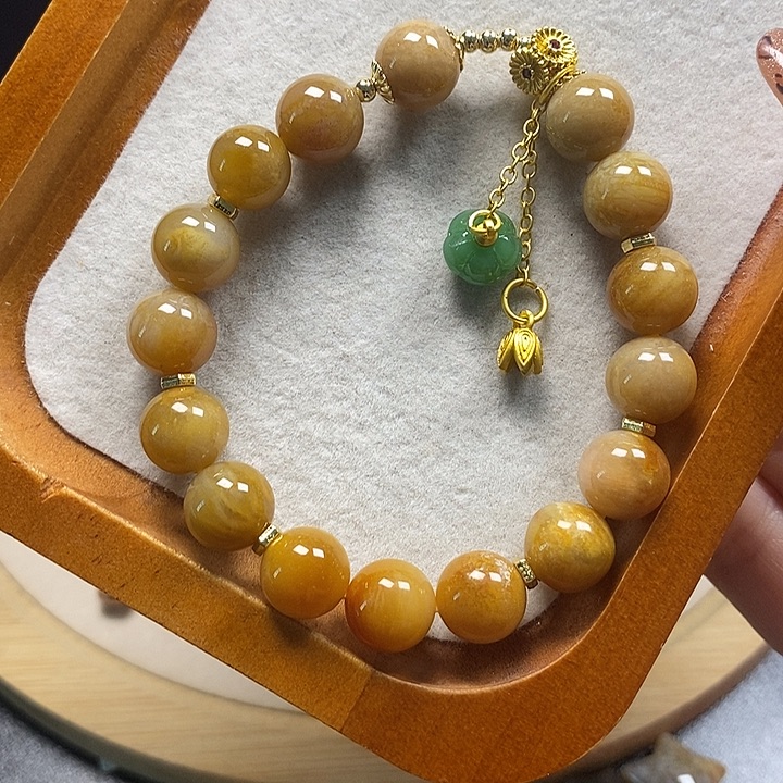 硅化珊瑚（珊瑚玉）未镶嵌颈饰