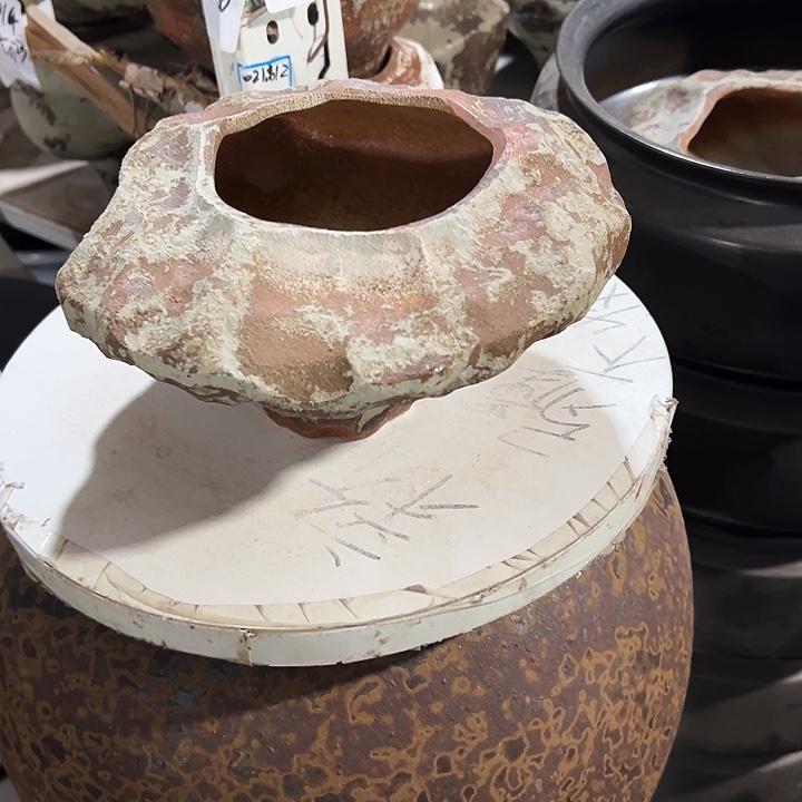 景德镇精品花盆栽适合口11高12