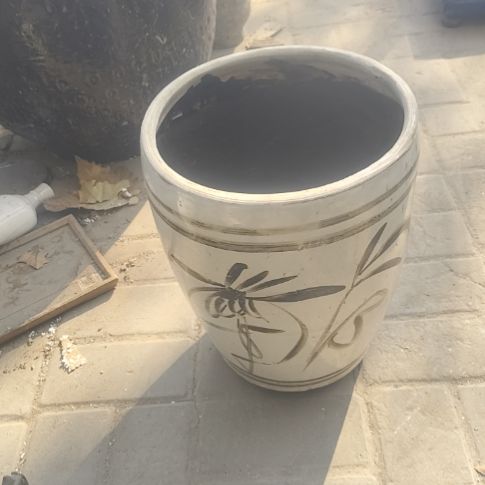 少***笃品相如图所示看好了下单