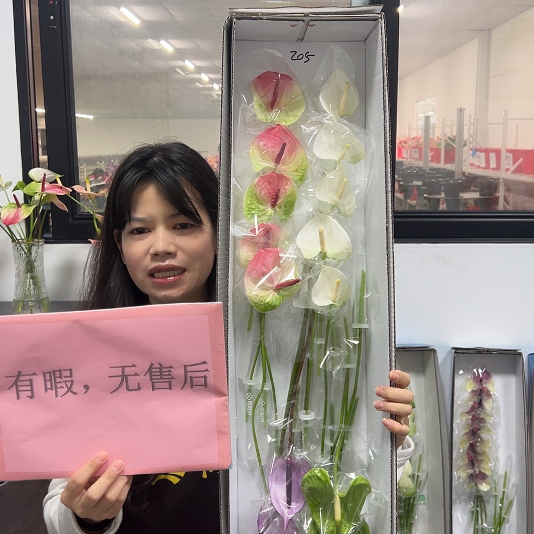 完全开放混色-20枝装无售后款205