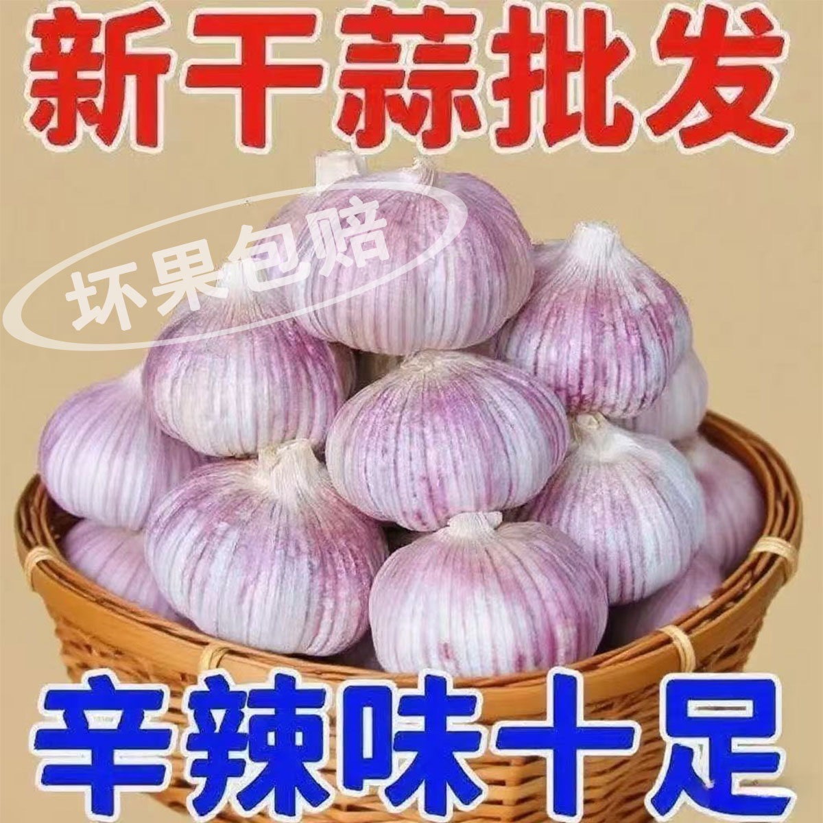 辛辣十足2025正宗紫皮大蒜山东批发紫白皮新鲜干蒜红皮农家大蒜
