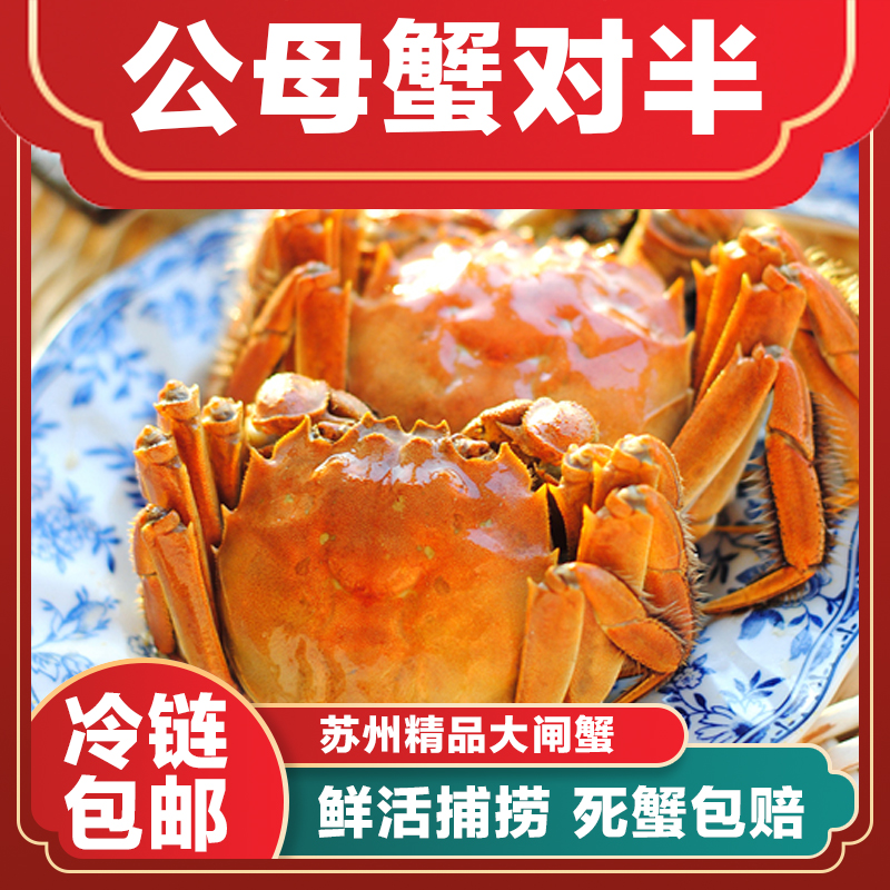 【现货公母蟹】精挑大闸蟹公蟹3两4两5两母蟹2两3两4两4只/6只/8只