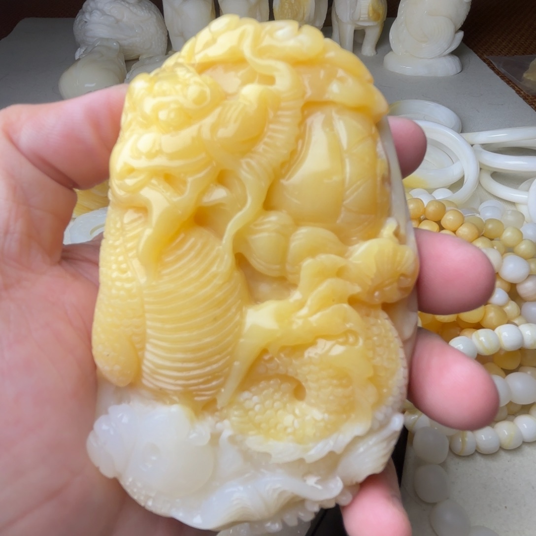 非金属贝壳白*黑天然贝