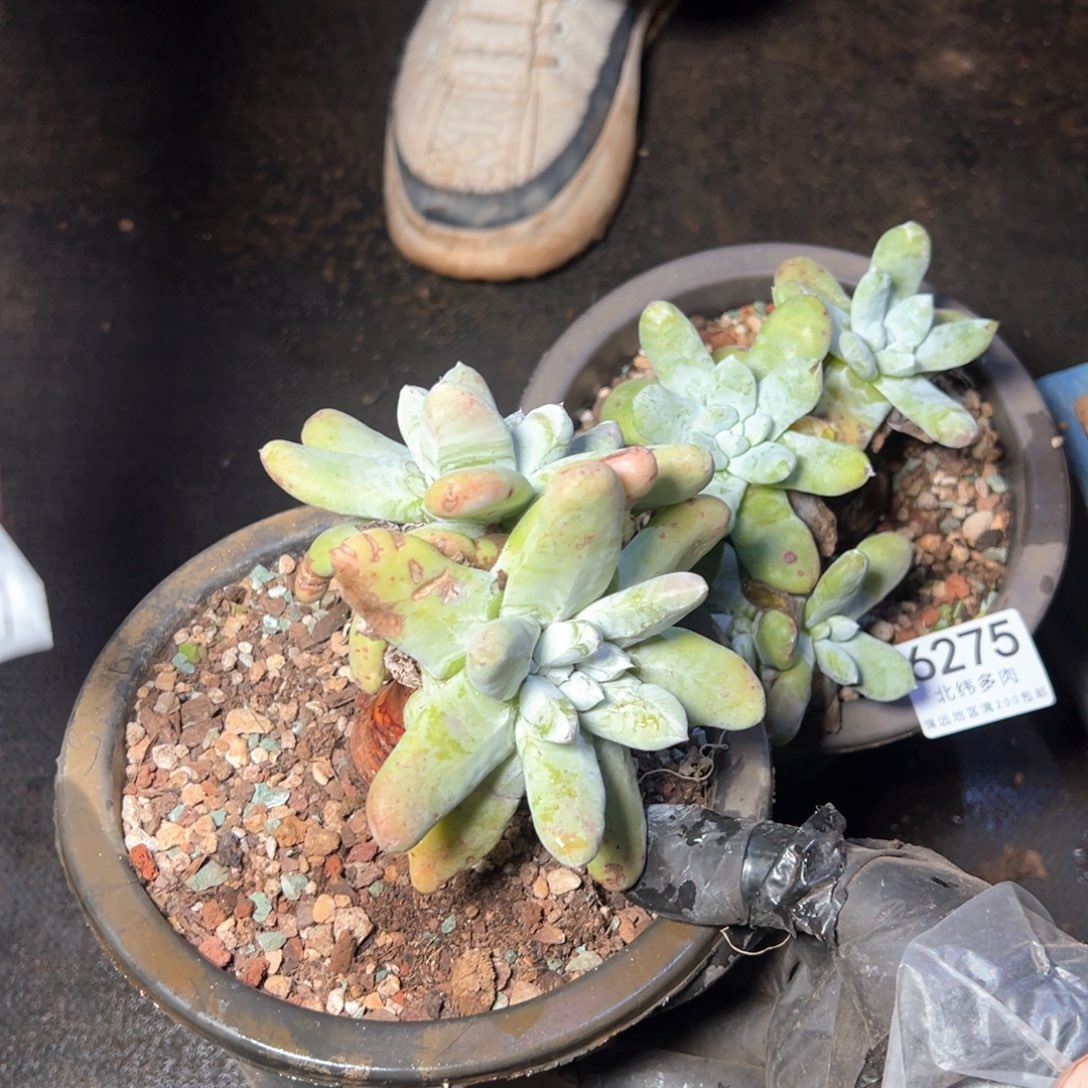 6276哈哈哈哈哈哈哈哈