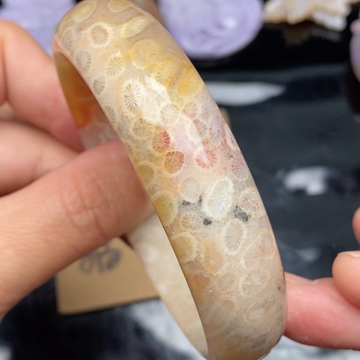 硅化珊瑚（珊瑚玉）手镯未镶嵌61.7