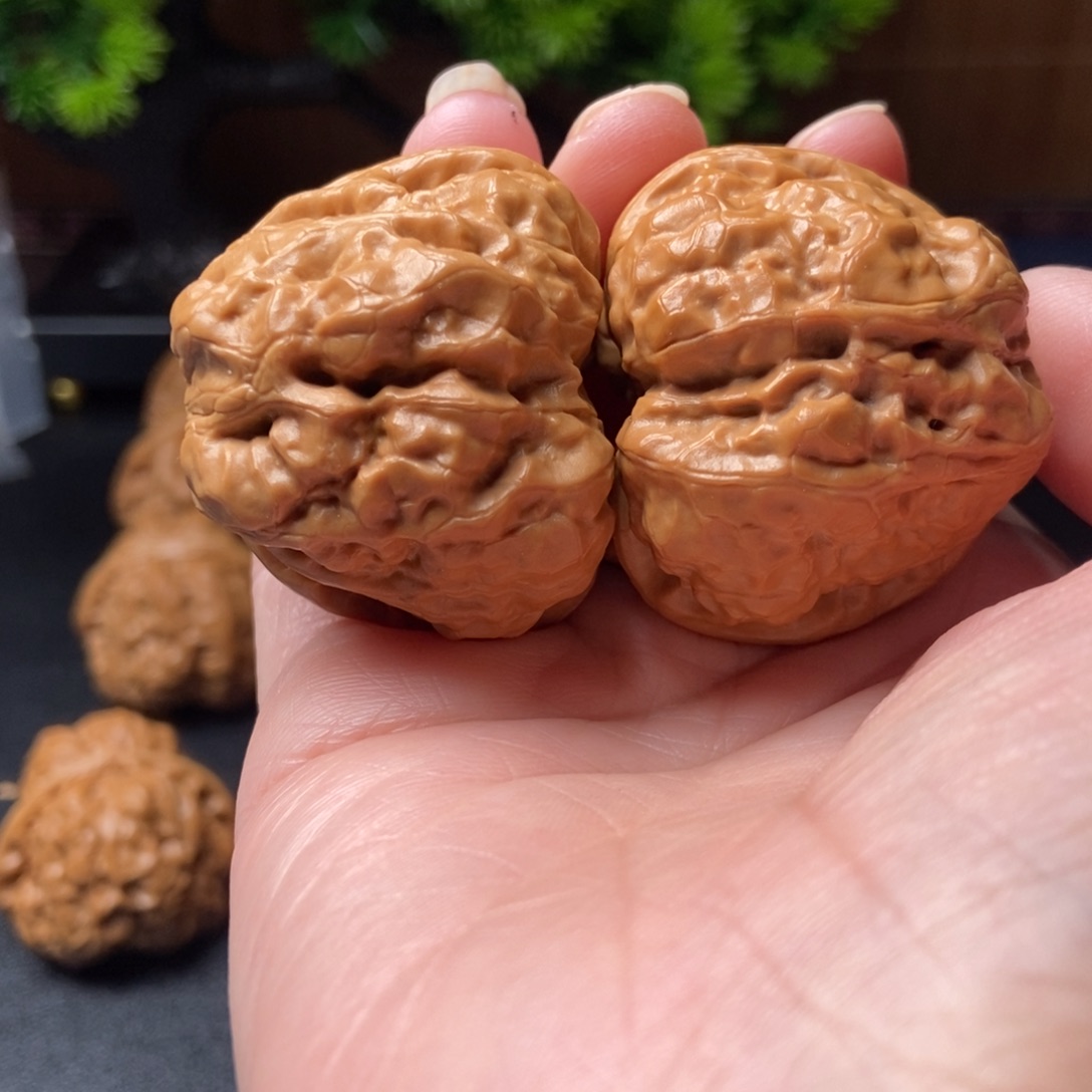 文玩核桃把件蛤蟆头41