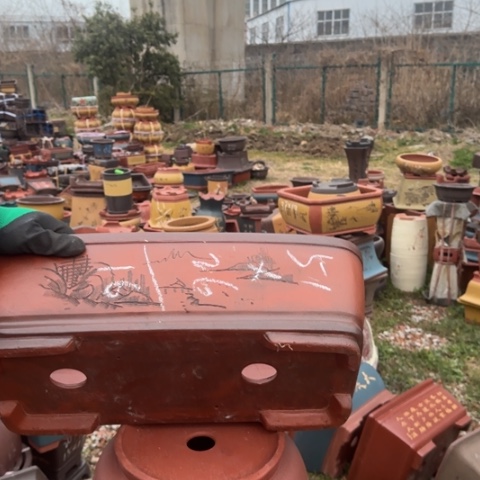 红陶紫砂花盆盆景盆栽