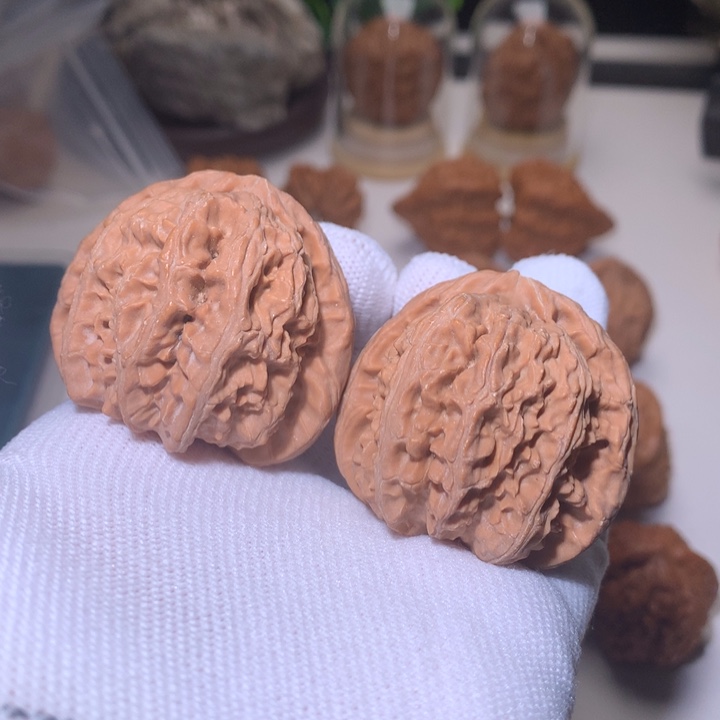 文玩核桃把件白狮子