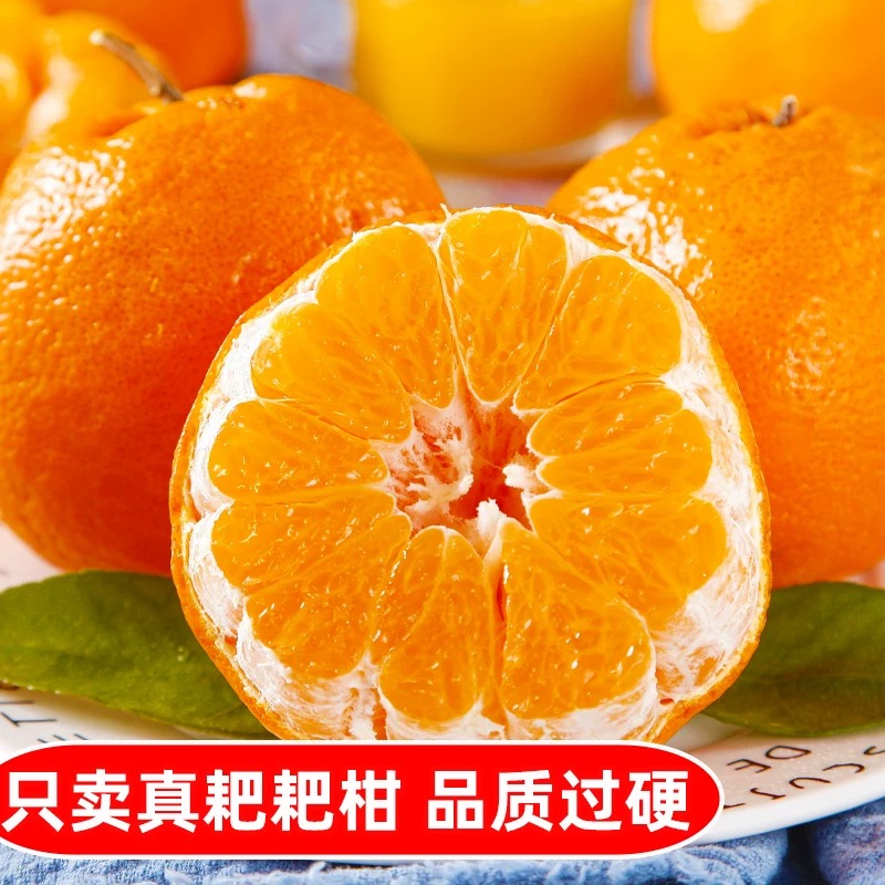 【顺丰包邮广东次日达】满口糖四川春见耙耙柑4.5斤真品耙耙柑【好东西】耙耙柑