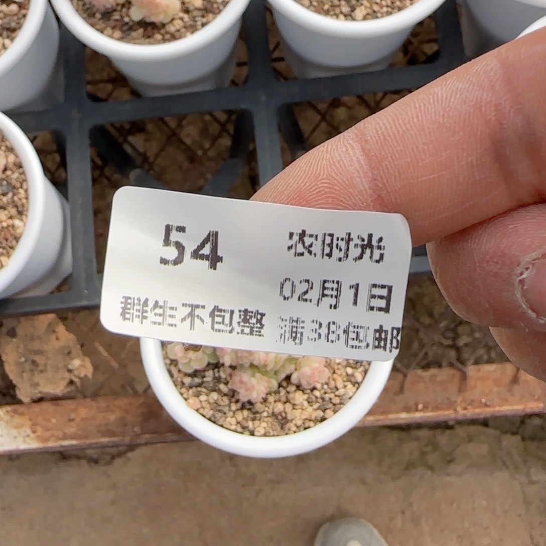 我****.【闪购商品】0201-54（ht-40）