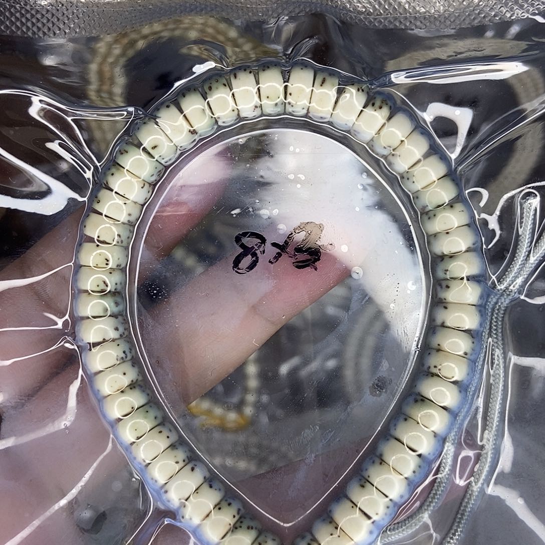 星月菩提手串星月