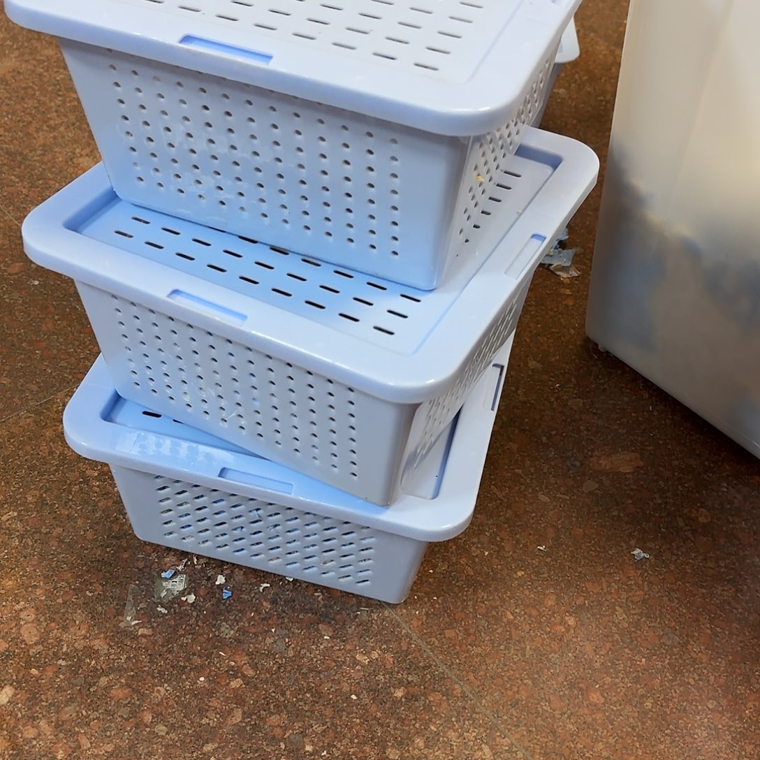 直播间挑选金丝熊