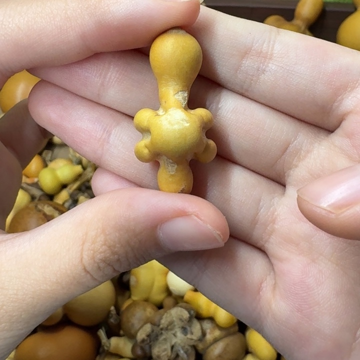 葫芦葫芦葫芦不包邮