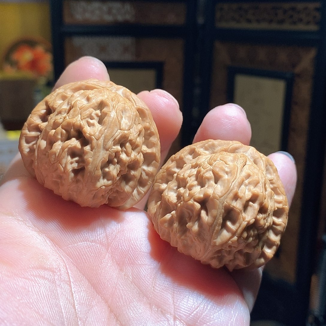 文玩核桃把件42白狮子全品