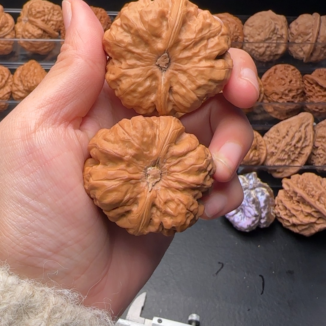 龙脊菩提吊坠我的小可爱们03