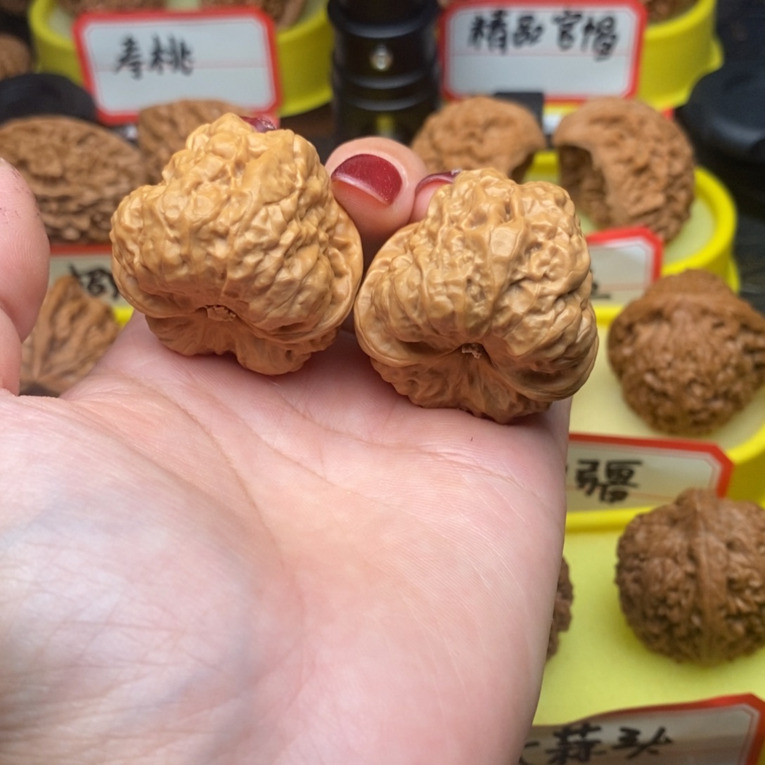 一***王菩提籽类蛤蟆头头