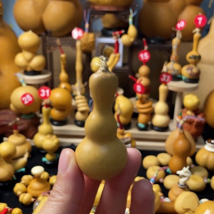 有***人葫芦丝老师一定有好结果