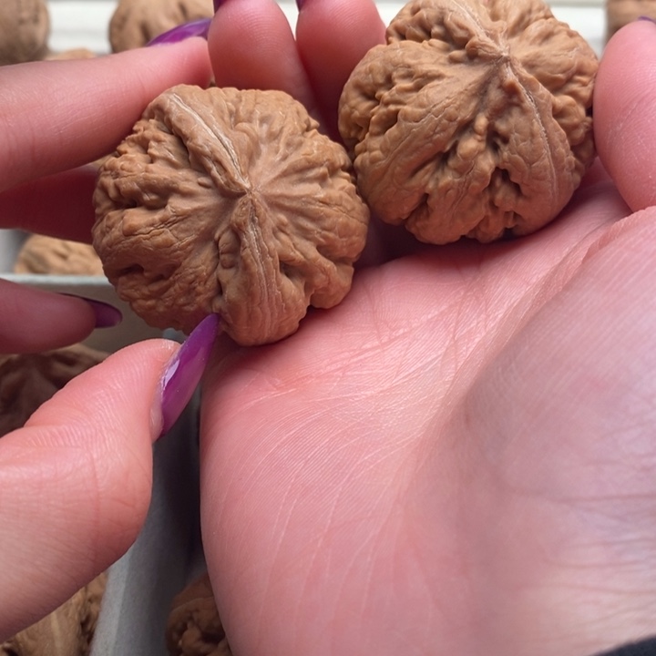 用***9吊坠文玩核桃霸王龙