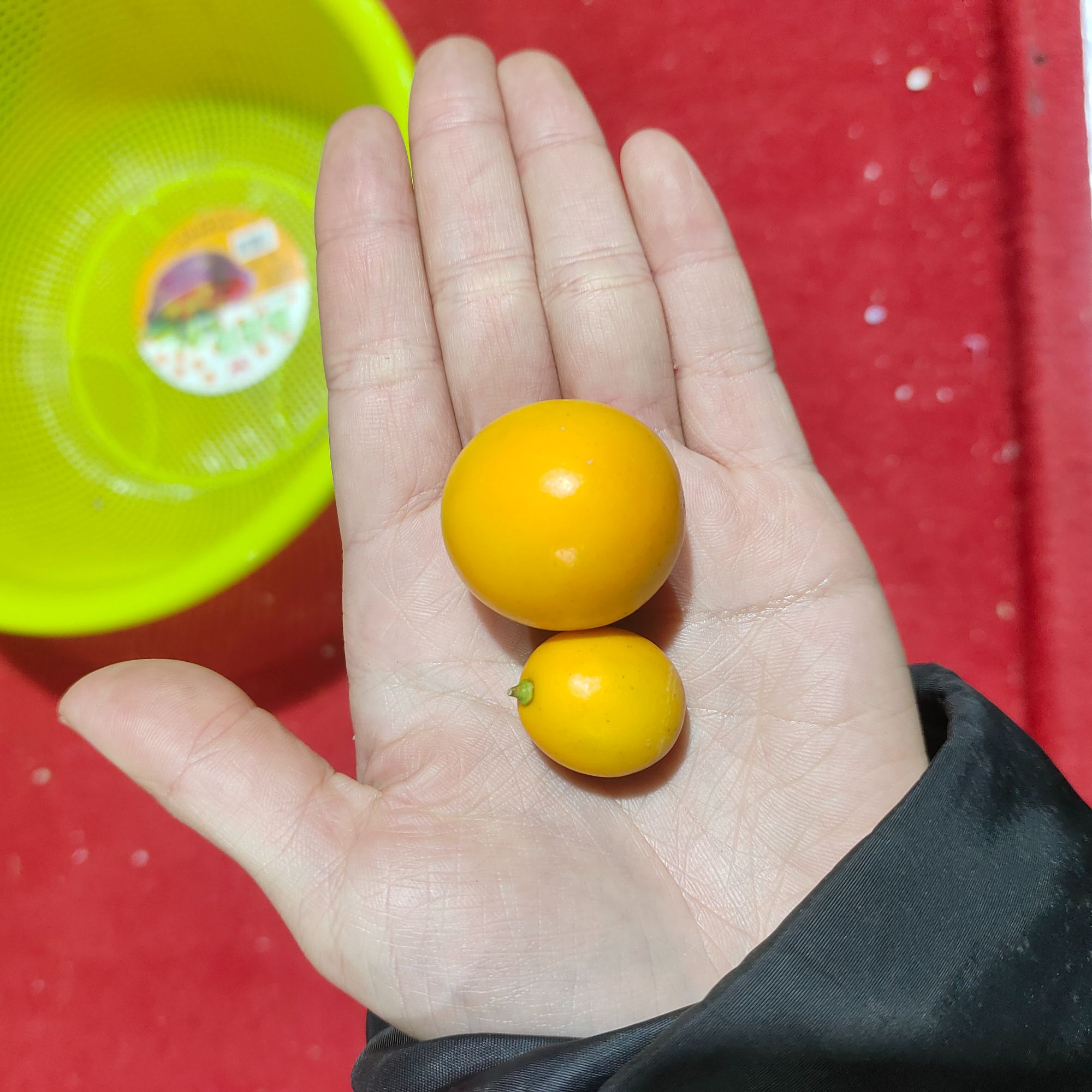 【福利款3斤融安金桔小果】正宗新鲜产地果纯甜无酸皮轻微瑕疵裸果