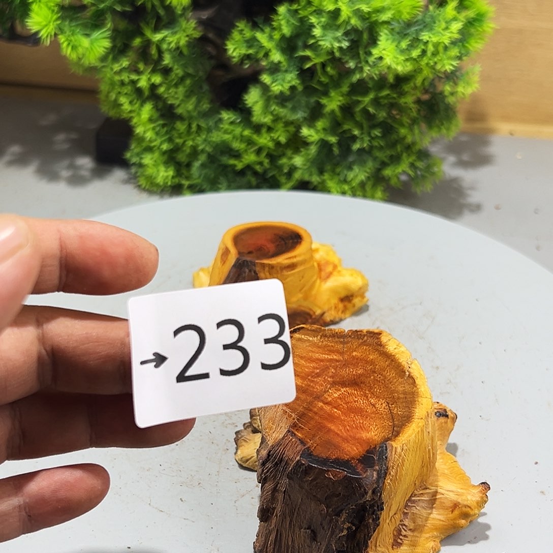 香榧木大**珠火琉璃……