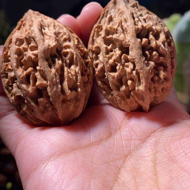 把件文玩核桃东北楸子小路 114