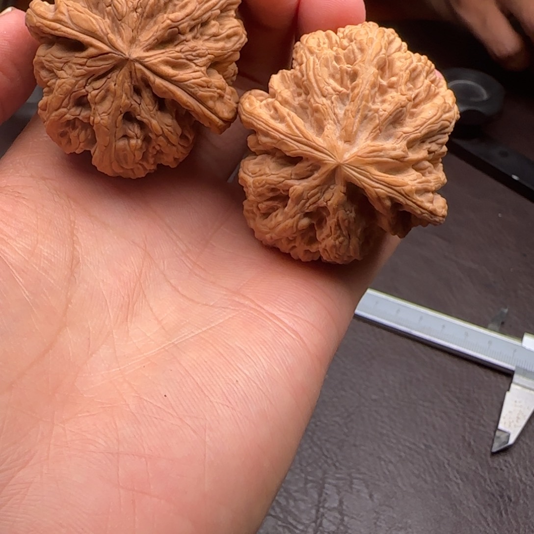 文玩核桃吊坠粗筋