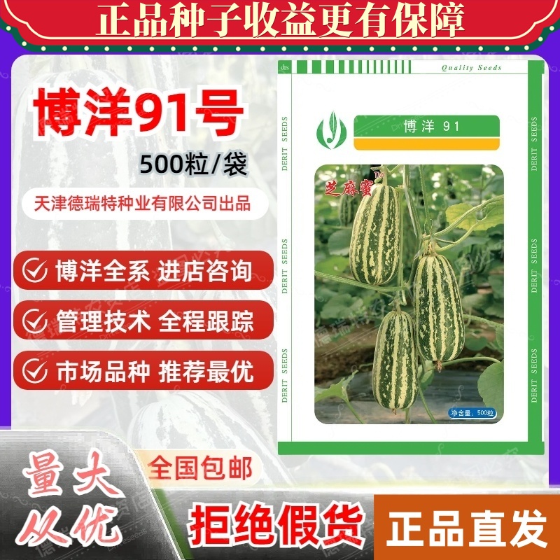 博洋91号甜掉牙甜瓜种子青皮羊角蜜香瓜籽庭院阳台水果种子德瑞特