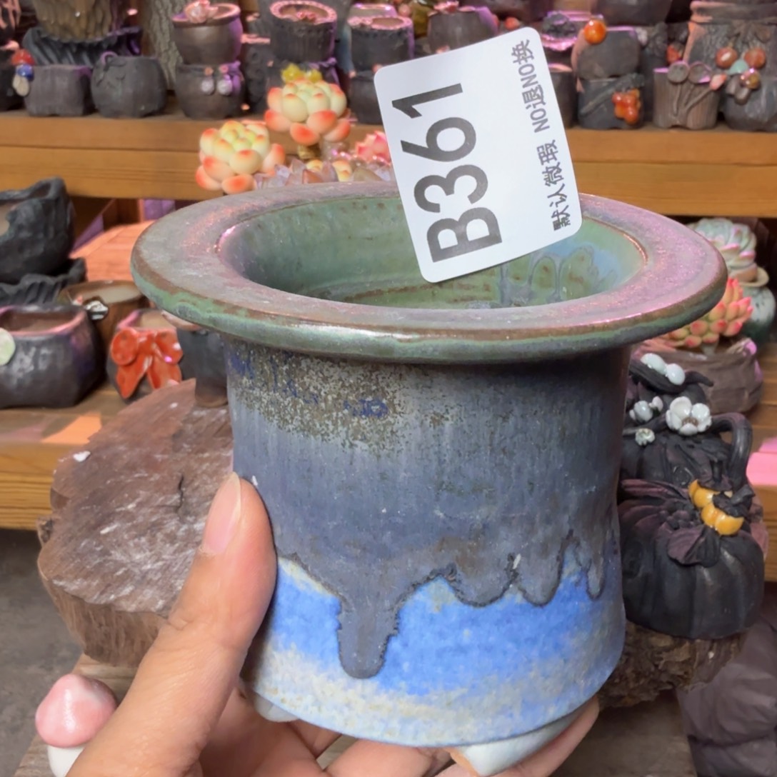 重庆小燕子欢迎大家361