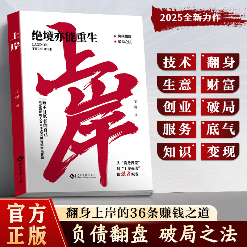 上岸 赚钱有大招解锁普通人赚钱秘诀突破认知 副业变现负债翻盘