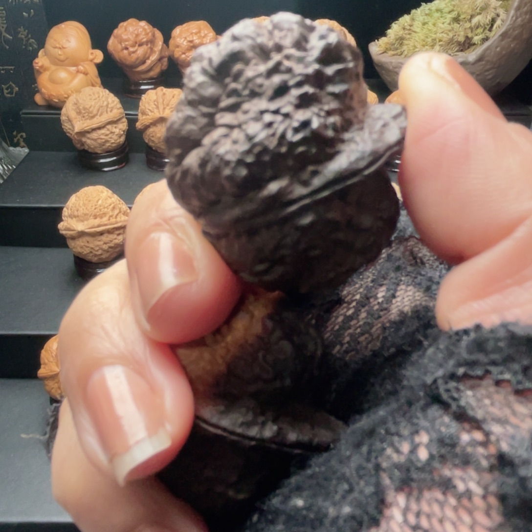 呆***员二棱金塔…………福利……