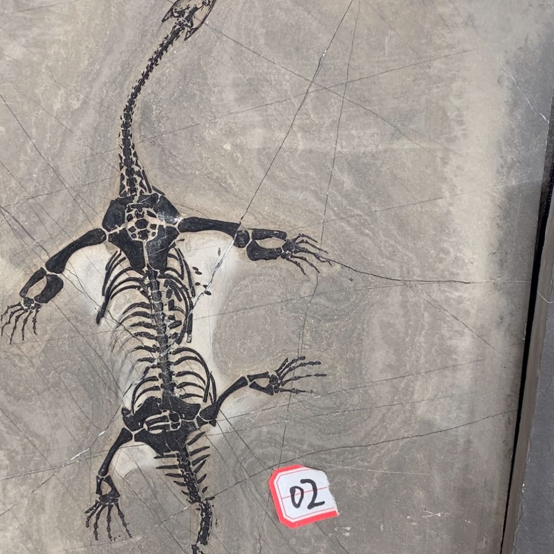 石材雅**球奇石家居摆件