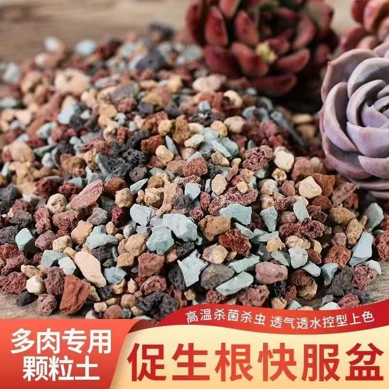 糖豆家多肉 多肉专用颗粒土
